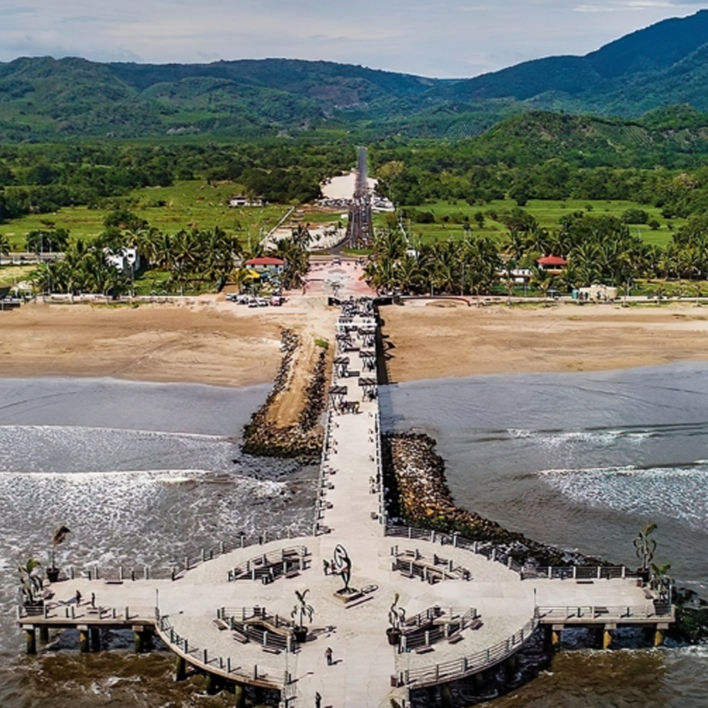 Avistamiento de Ballenas