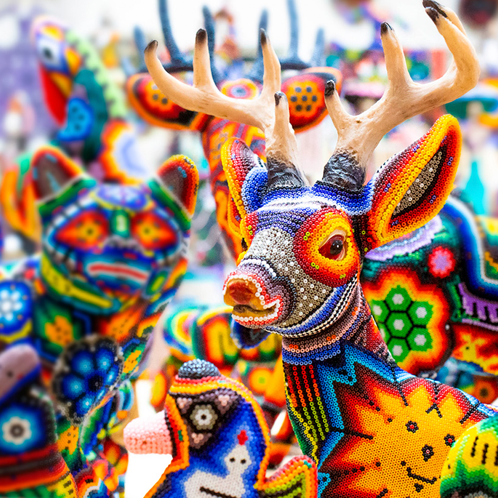 Avistamiento de Ballenas - Image 3